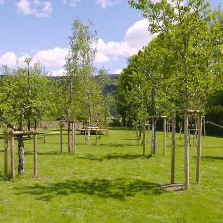 Designferienhaus Bauhausvilla Pool-park-ski Villa