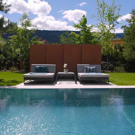 Designferienhaus Bauhausvilla Pool-park-ski *