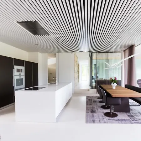 Designferienhaus Bauhausvilla Pool-park-ski Villa