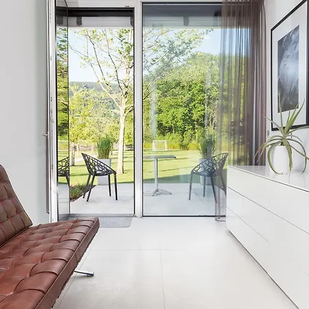 Designferienhaus Bauhausvilla Pool-park-ski Villa *